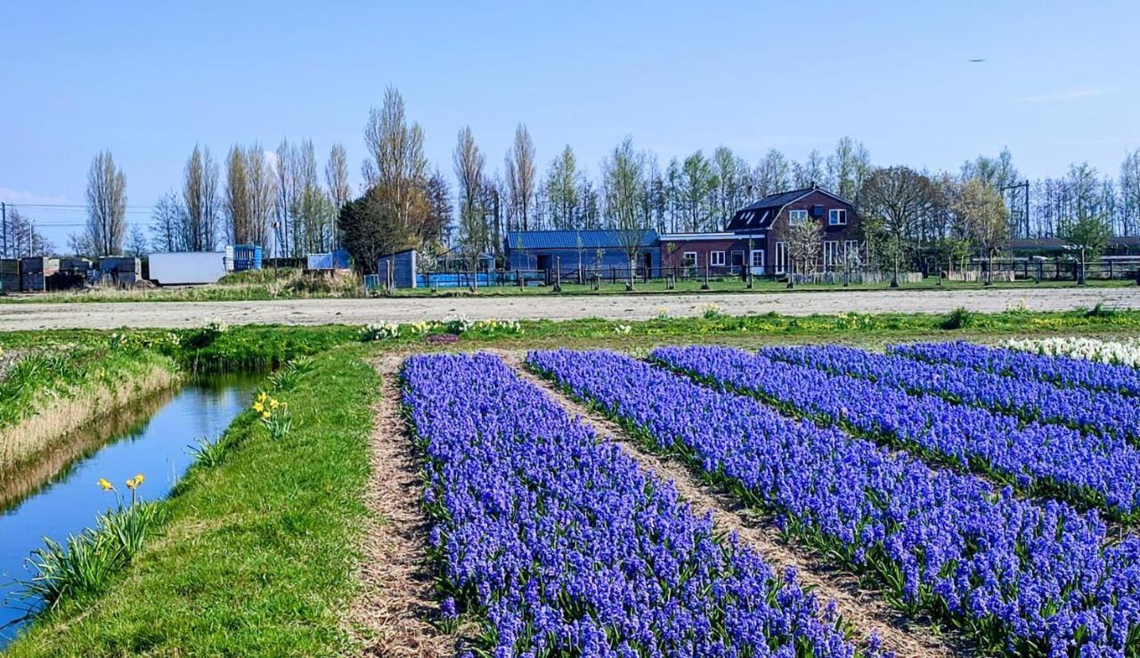 Willa Het Dijkstuk Noordwijkerhout Zewnętrze zdjęcie